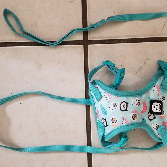 Small Dog or Cat Harness and Leash Adjustable - Picture 2 of 9